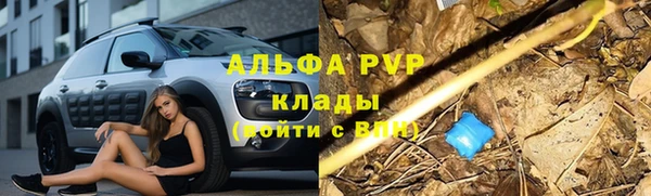 не бодяженный Тайга