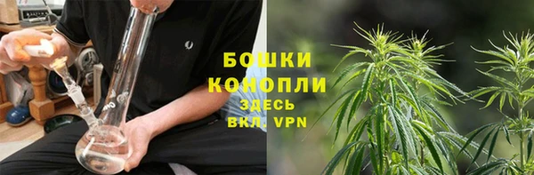 ГАЛЛЮЦИНОГЕННЫЕ ГРИБЫ Иннополис